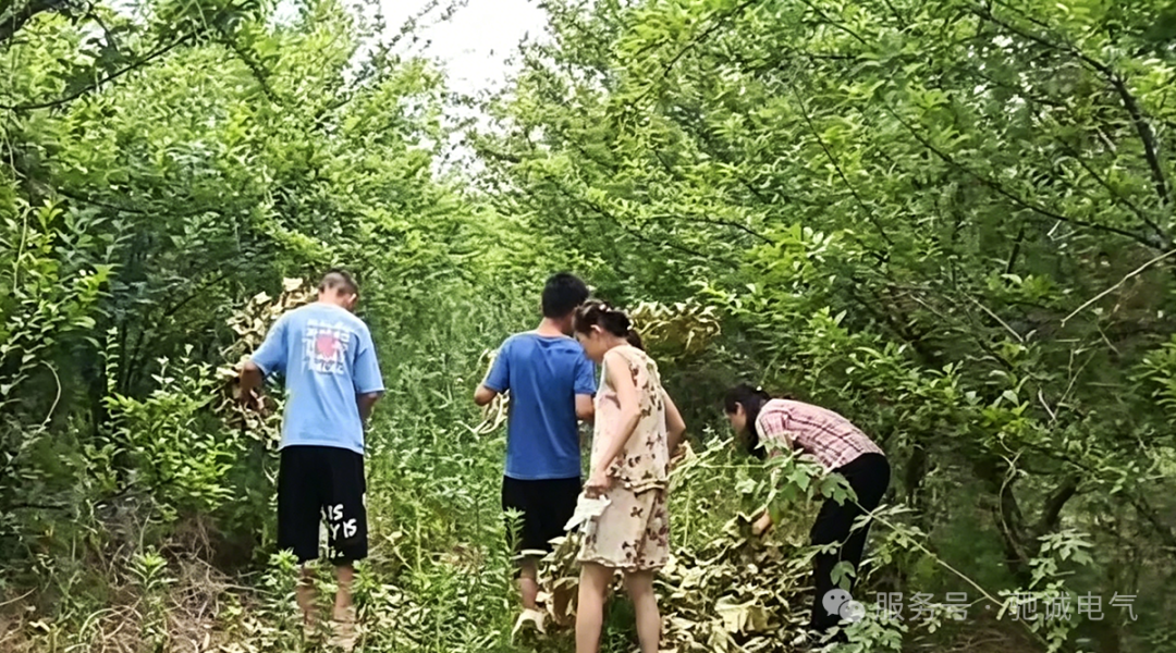 果香致端阳 善意汇星光|开云kaiyun网页版官网向善而行 守护童心成长